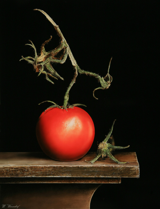 Tomato with branch by Wijnand Warendorf