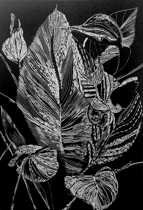 Black leaves  by Magdalena Chmielek