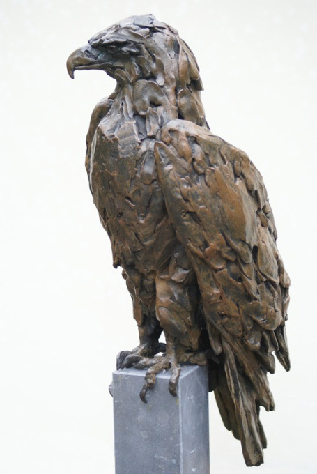 Eagle by Jacqueline van der Laan