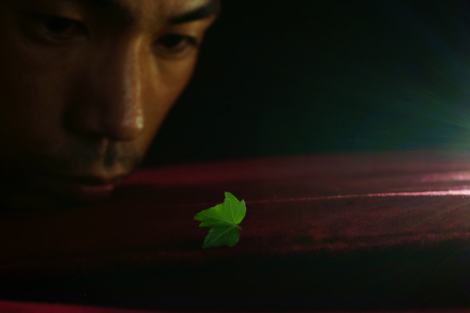 Finding a Leaf by Shen Wei