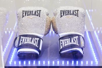 Everlast Shiny Boxing Gloves by Angela Gomes