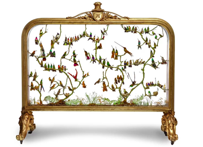 AN EXCEPTIONAL AND EXTREMELY RARE VICTORIAN GILT-WOOD FIRE SCREEN WITH TAXIDERMY HUMMINGBIRDS  by Unbekannter Künstler