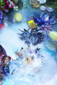 Waterlelies by Caroline Mulders