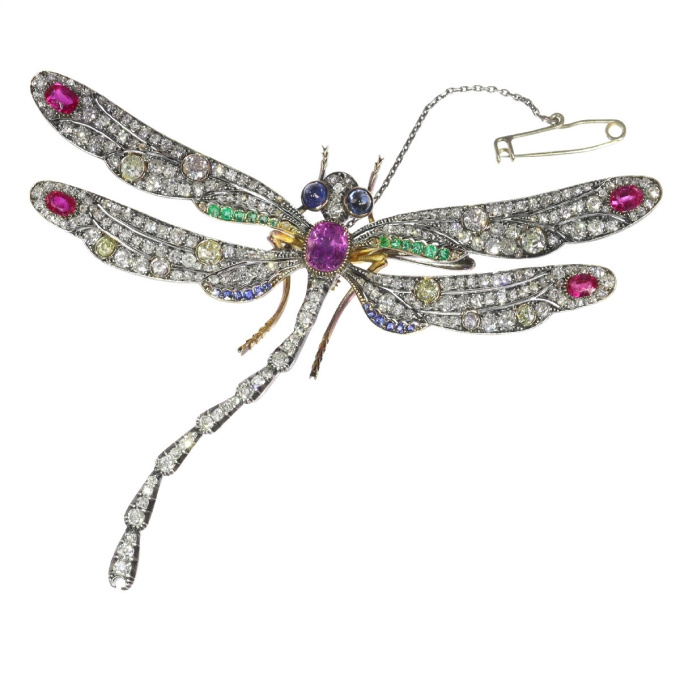 Magnificent Art Nouveau bejeweled dragonfly brooch by Artista Desconhecido
