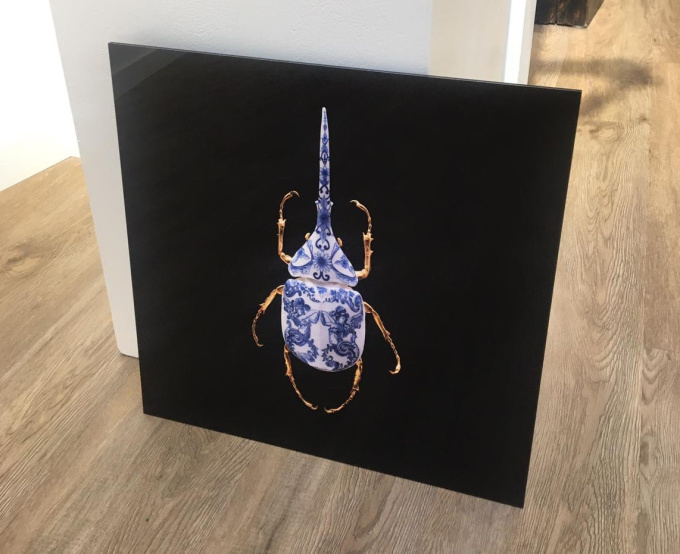  Anatomia Blue Heritage, Goliath Beetle Open by Samuel Dejong