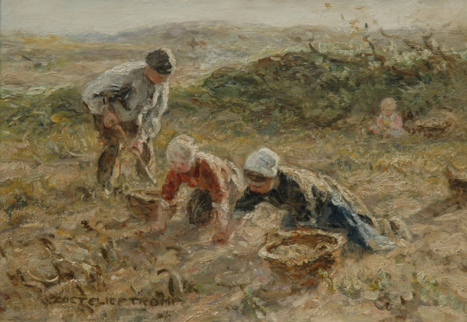 Digging up potatoes in the dunes near Katwijk by Jan Zoetelief Tromp