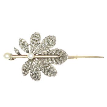 French Antique Victorian brooch chestnut leaf completely diamond covered by Artista Desconocido