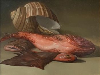 Natura Morta di Pesci - In Stock  by Giovanni Tommasi Ferroni