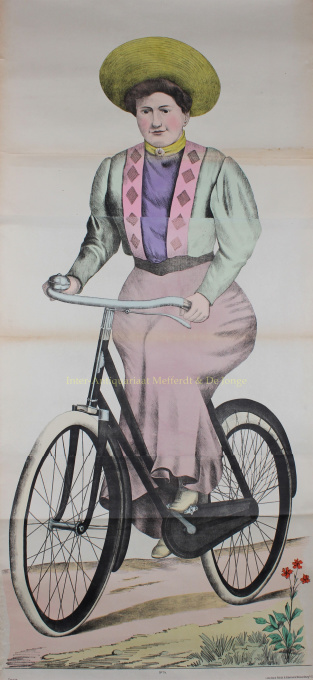 The cyclist  by Artista Desconocido