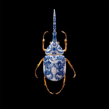 Anatomia Blue Heritage, Hercules Beetle Closed by Samuel Dejong