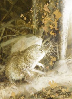 De Spitsmuis by Paul Christiaan Bos