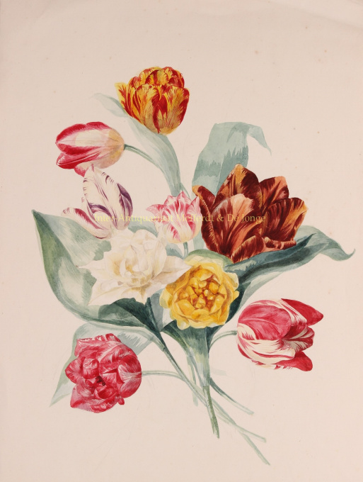 Bouquet of tulips  by Johanna Helena Buyskes