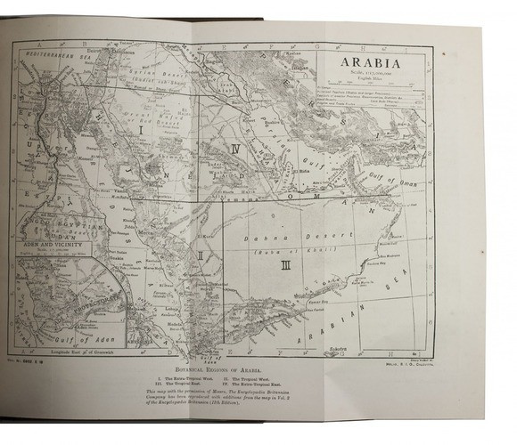 Catalogue of plants of the Arabian Peninsula,  with scientific names in Latin, Arabic and Persian by Ethelbert Blatter