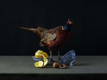 Surprised Pheasant by Jeroen Luijt