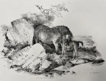 Voorblad Etudes de chevaux après nature/ Merrie met veulen by Théodore Géricault