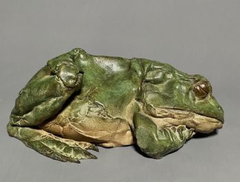 Sleeping Frog by Pieter Vanden Daele