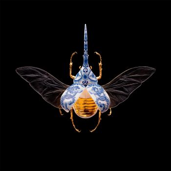 Anatomia Blue Heritage, Hercules Beetle Open by Samuel Dejong