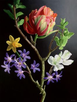 Power Flowers by JP Marsman