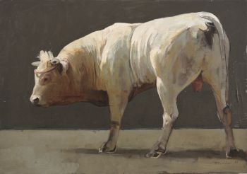 Little Bull by Pieter Pander