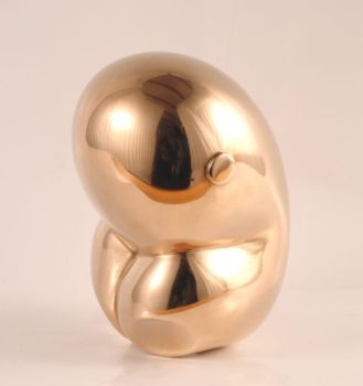 embryo by Maurice Brams
