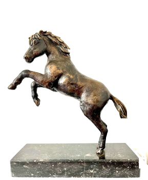 Steigerend paardje by Natalie de Klijn